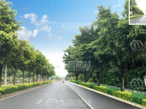2017年南宁市JCQ快速路、主干路 沿线挡墙护坡绿化工程