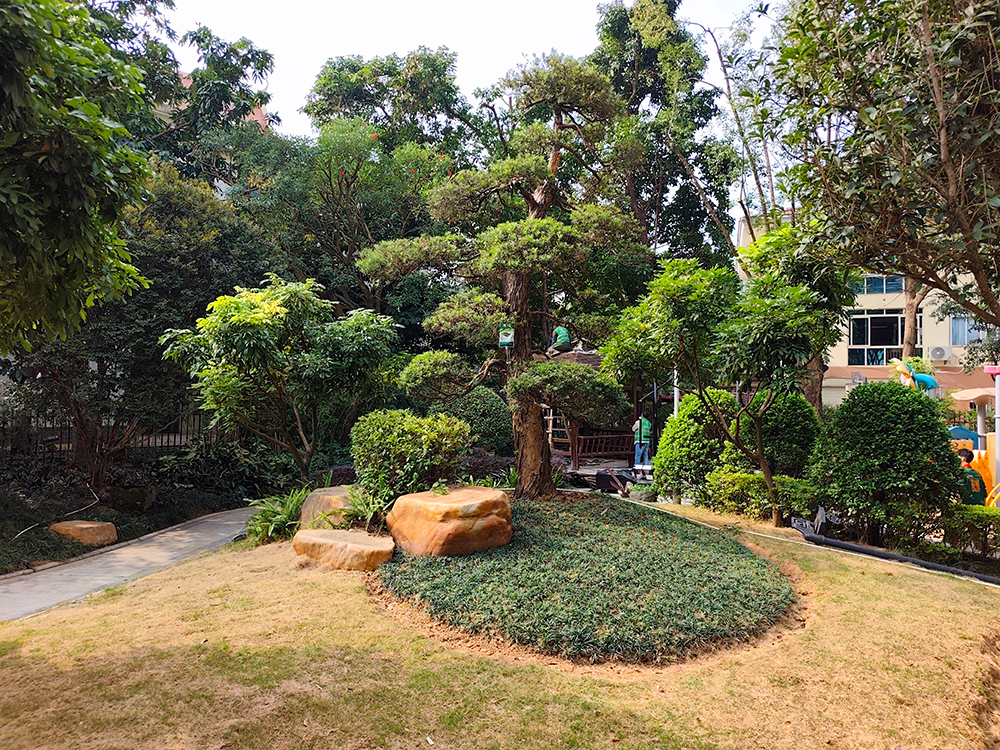 南宁柬埔寨园露台花园景观提升