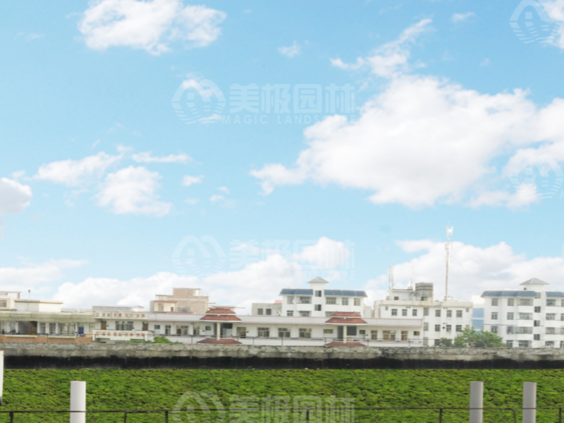 广西BY县 2018 年立体绿化工程设计