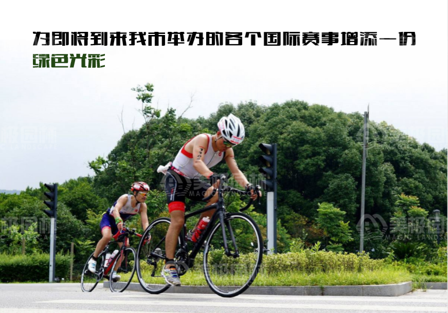 南宁市5A景区边坡 绿化提升