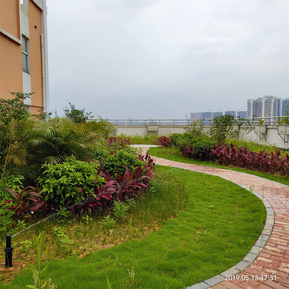 翠湖路小学屋顶绿化工程