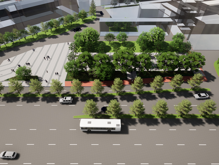 陈东村市政绿地改造工程
